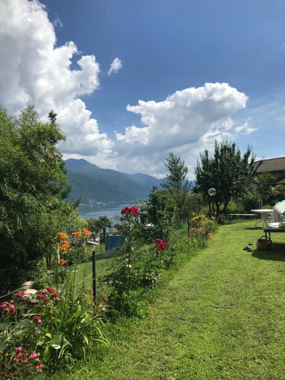 Bed And Breakfast Studios Alto Lago Di Como Gravedona Buitenkant foto